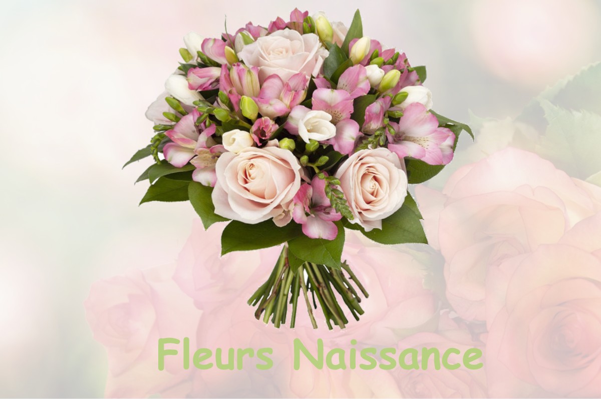 fleurs naissance BOUGY-LEZ-NEUVILLE